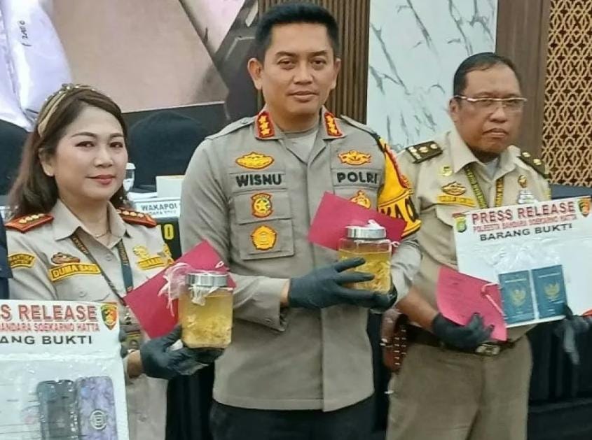 Polresta Bandara Soetta Berhasil Gagalkan Penyelundupan Benur Senilai Rp.4,2 Milliar