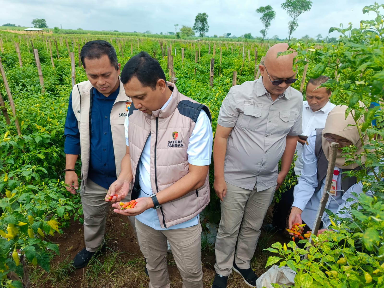 Pantau Pasar dan Petani di Jatim, Satgas Saber Pelanggaran Pangan Pusat: Mayoritas Harga Komoditas Stabil