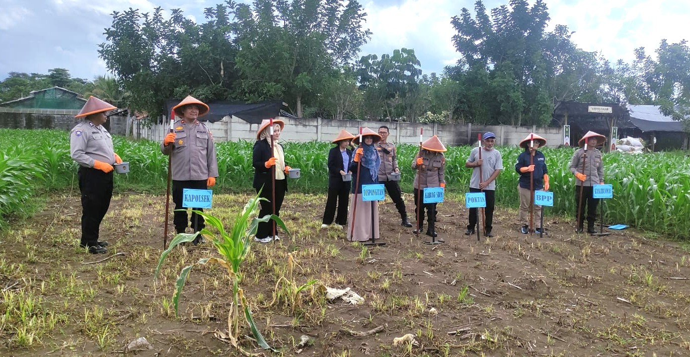 Polresta Malang Kota Tanam Jagung Serentak Kuartal I 2026, Perkuat Ketahanan Pangan dan Dukung Swasembada Nasional