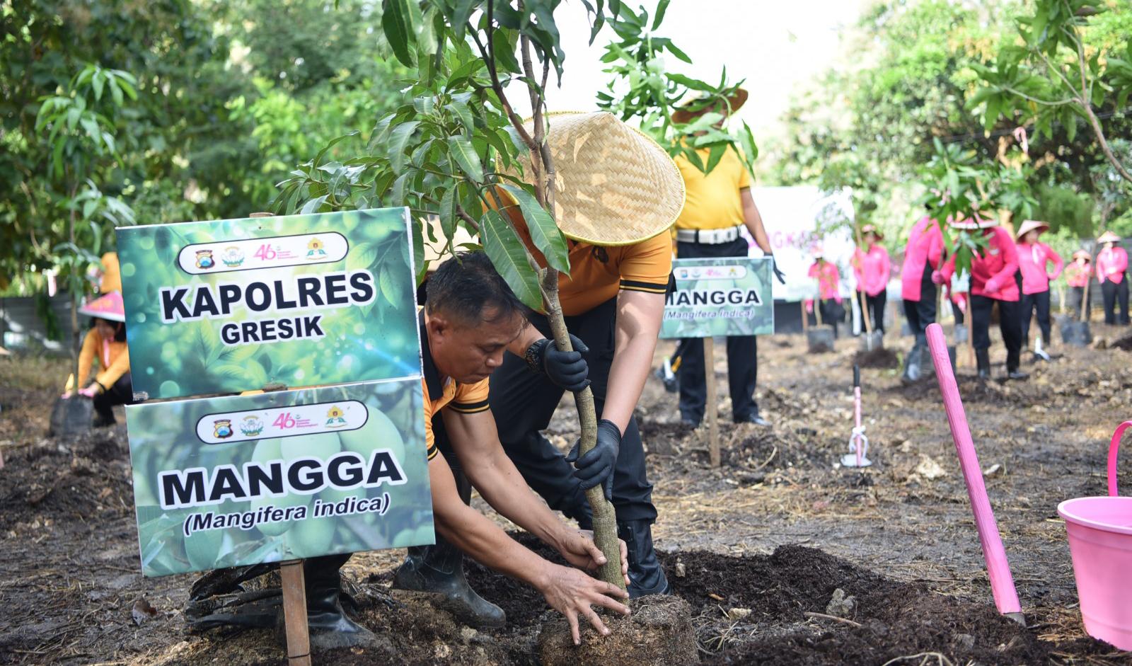 Peduli Lingkungan, Polres Gresik Bersama Bhayangkari Tanam Puluhan Pohon Produktif