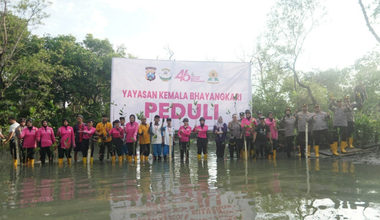 Sambut HUT ke-46, YKB Tanjung Perak Tanam Mangrove Pulihkan Lahan Kritis