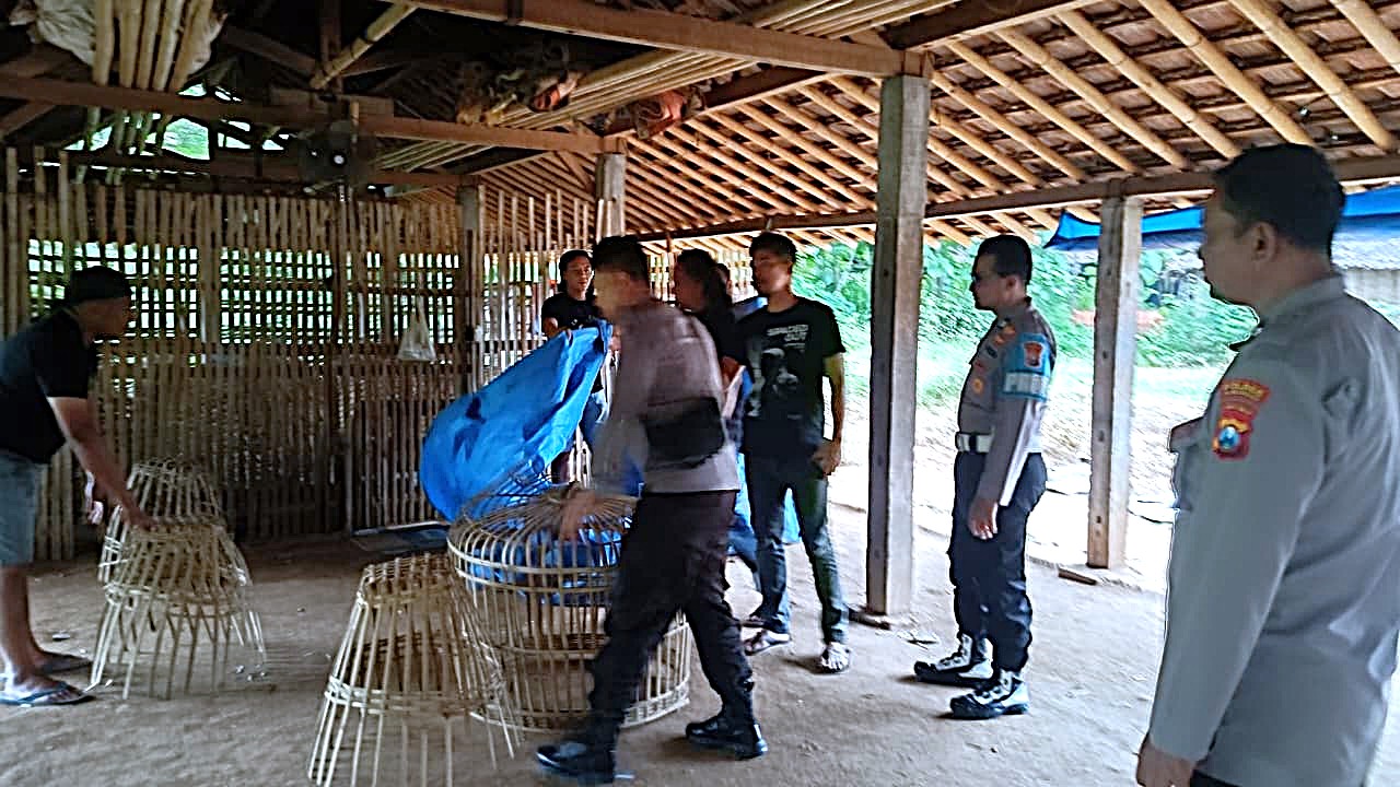 Tindak Tegas! Polres Ponorogo Bubarkan 3 Titik Judi Sabung Ayam dan Dadu