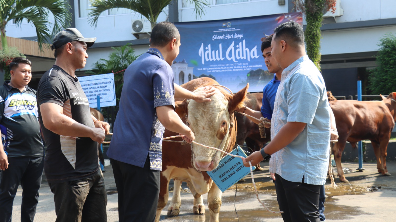 Idul Adha 1447 H, Polresta Malang Kota Siapkan Hewan Kurban, 13 Sapi dan 27 Kambing untuk Warga