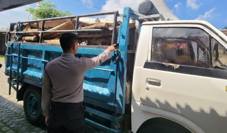 Polres Malang Ungkap Pembalakan Hutan, Truk Bermuatan Kayu Diamankan