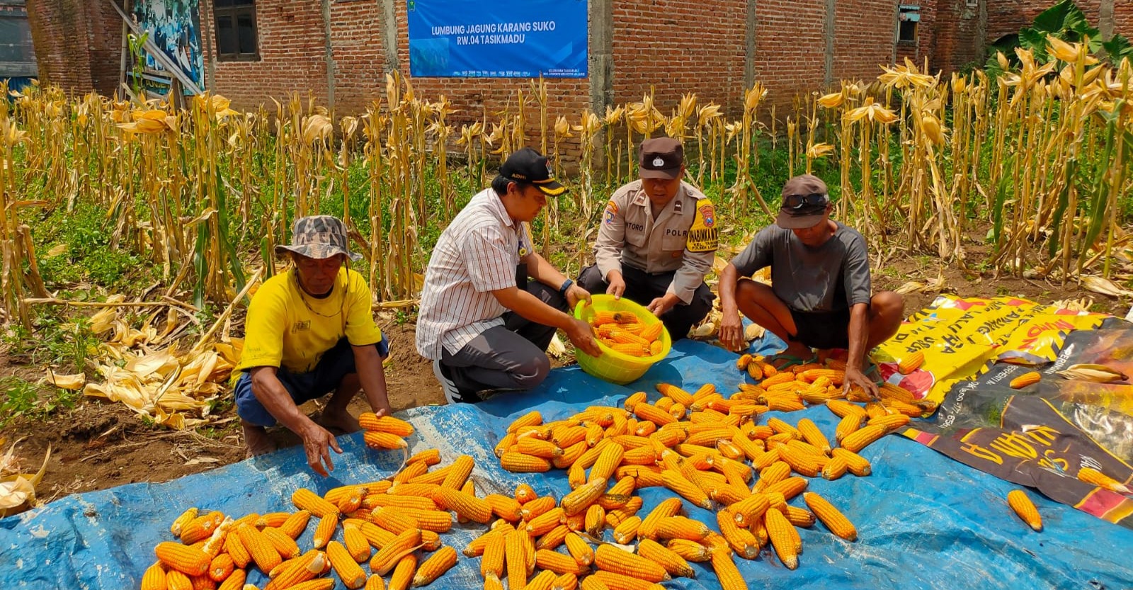 Komitmen Kawal Ketahanan Pangan Nasional, Polresta Malang Kota Terus Dampingi Petani dan Pondok Pesantren