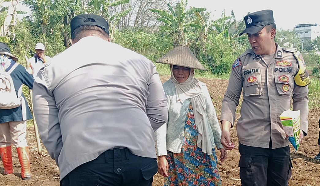Optimalkan Lahan Produktif, Pak Bhabin dan Petani Tanam Jagung, Tingkatkan Dukungan Ketahanan Pangan dari Tingkat Kelurahan