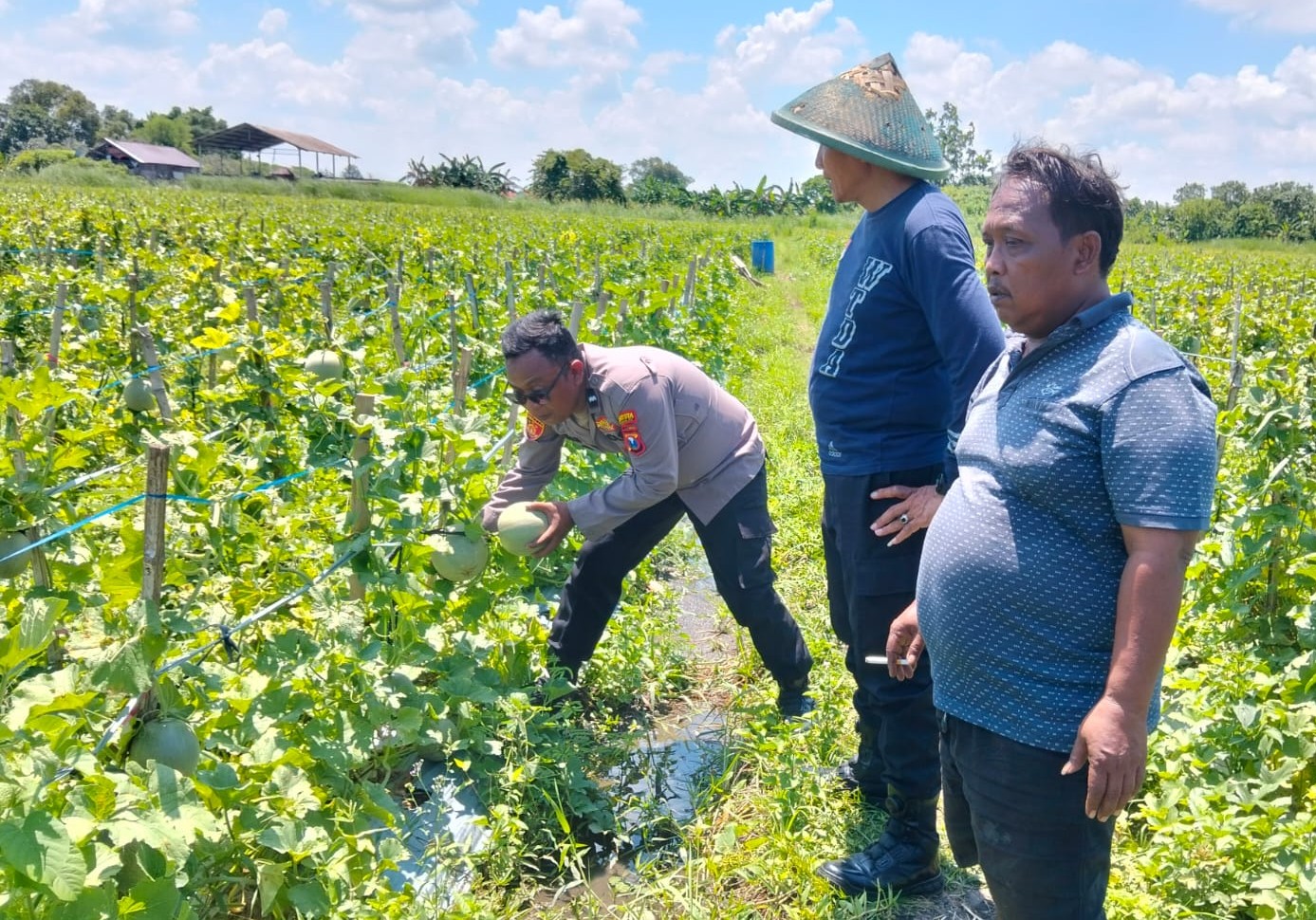 Polresta Sidoarjo Gelorakan Swasembada Pangan Melalui Program P2B